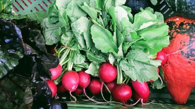 Beitragsbild Supermarkt Challenge Tag 3 und 4