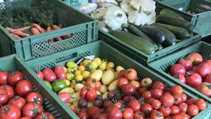 Einkaufen_auf_dem_Markt_2