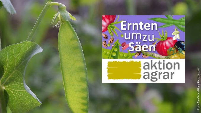 Headerbild Ernten um zu saeen Ernten um zu säen - Mitmachaktion