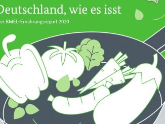 Cover BMEL-Ernährungsreport 2020